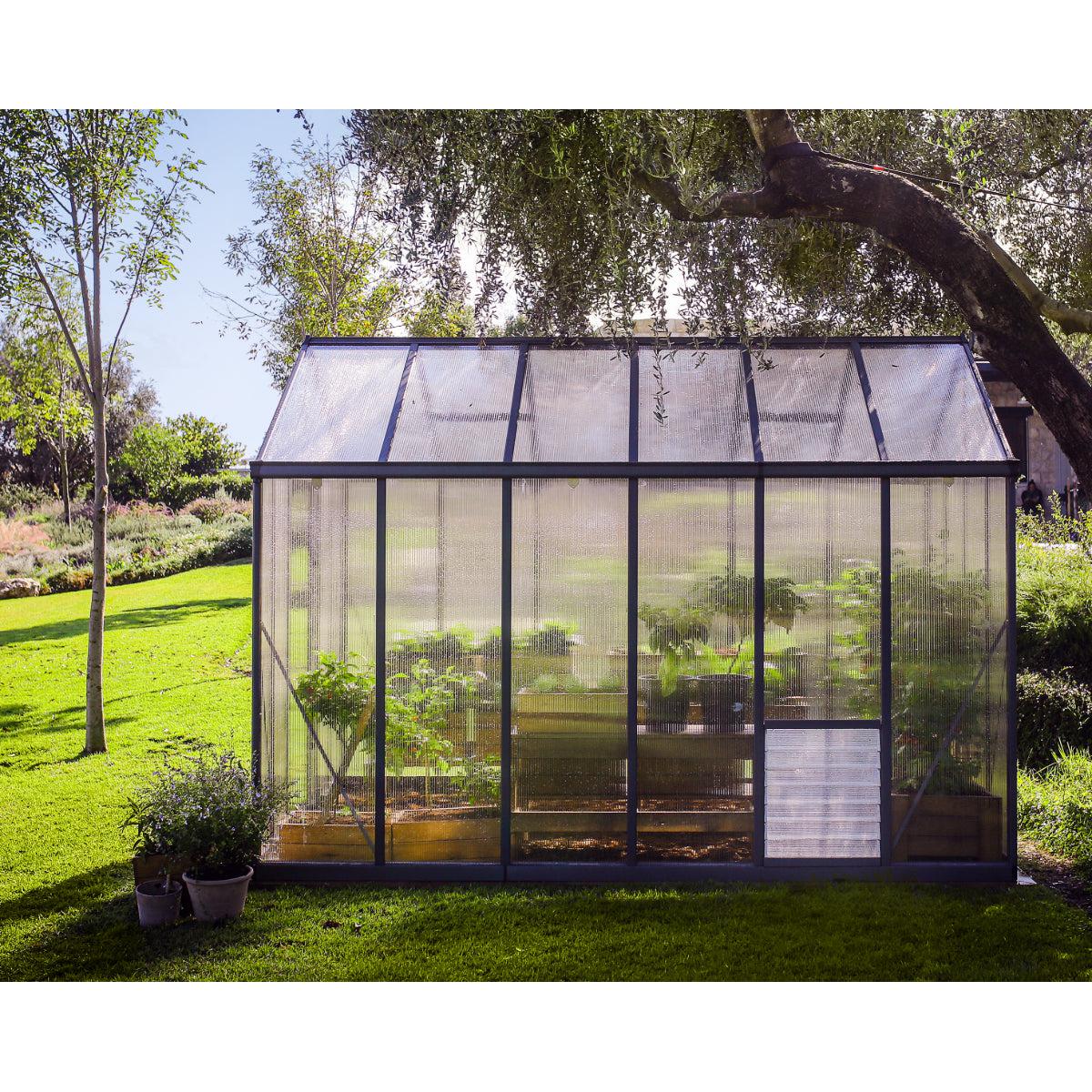 Glory Deluxe Polycarbonate Greenhouse 8 x 12 ft. | Palram-Canopia-Delightful Yard