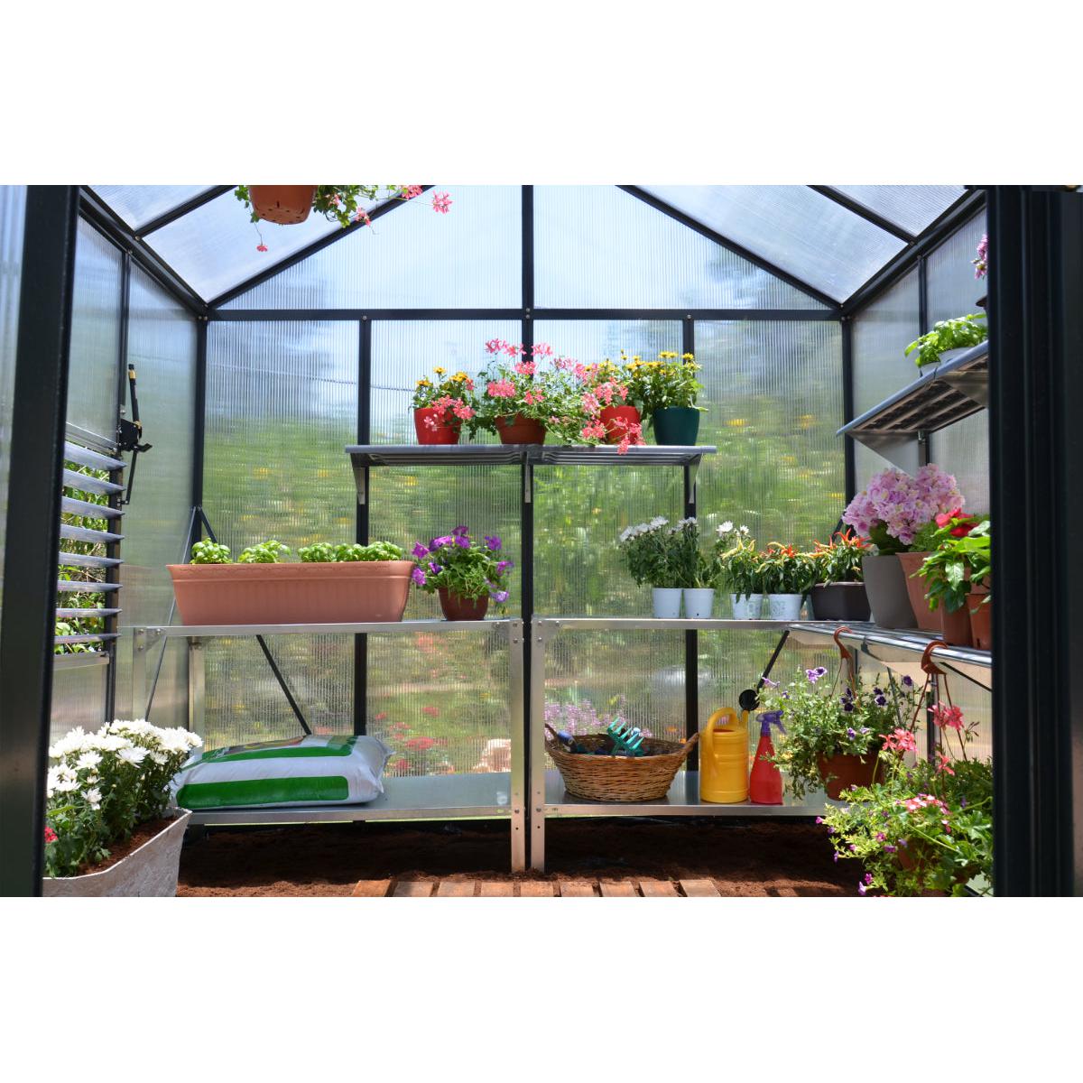 Glory Deluxe Polycarbonate Greenhouse 8 x 20 ft. | Palram-Canopia-Delightful Yard