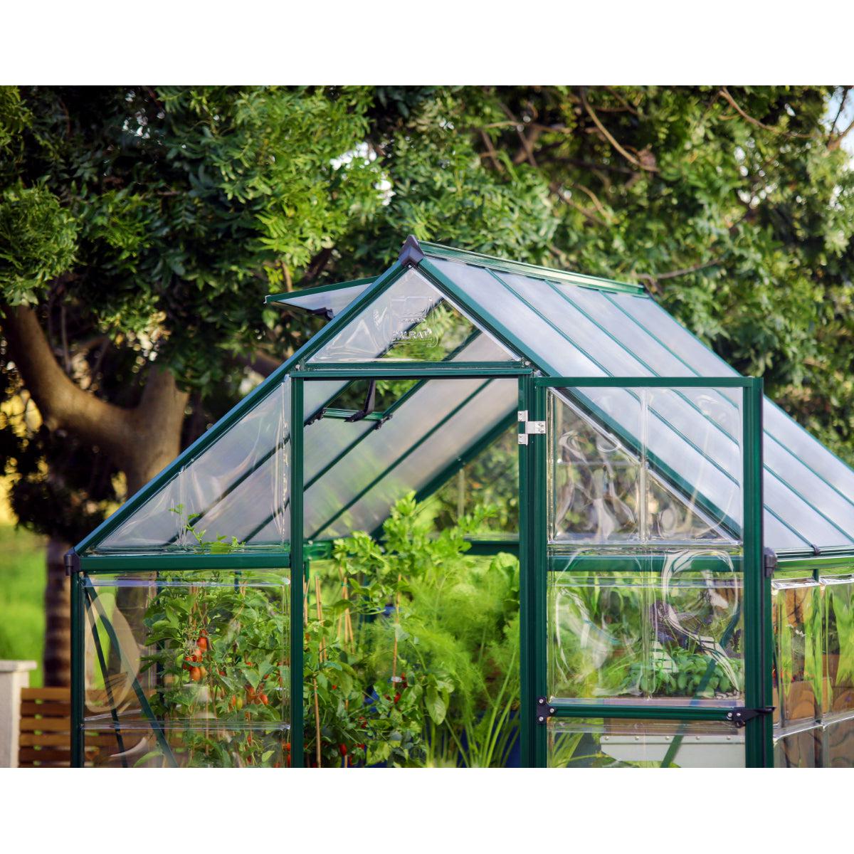 Hybrid Polycarbonate Greenhouse 6 x 8 ft. Green Frame | Palram-Canopia-Delightful Yard
