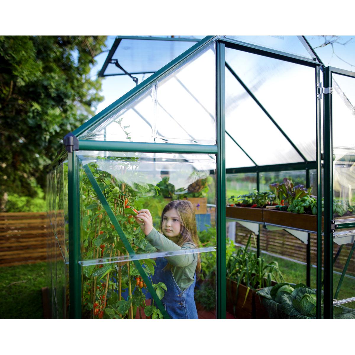 Hybrid Polycarbonate Greenhouse 6 x 8 ft. Green Frame | Palram-Canopia-Delightful Yard
