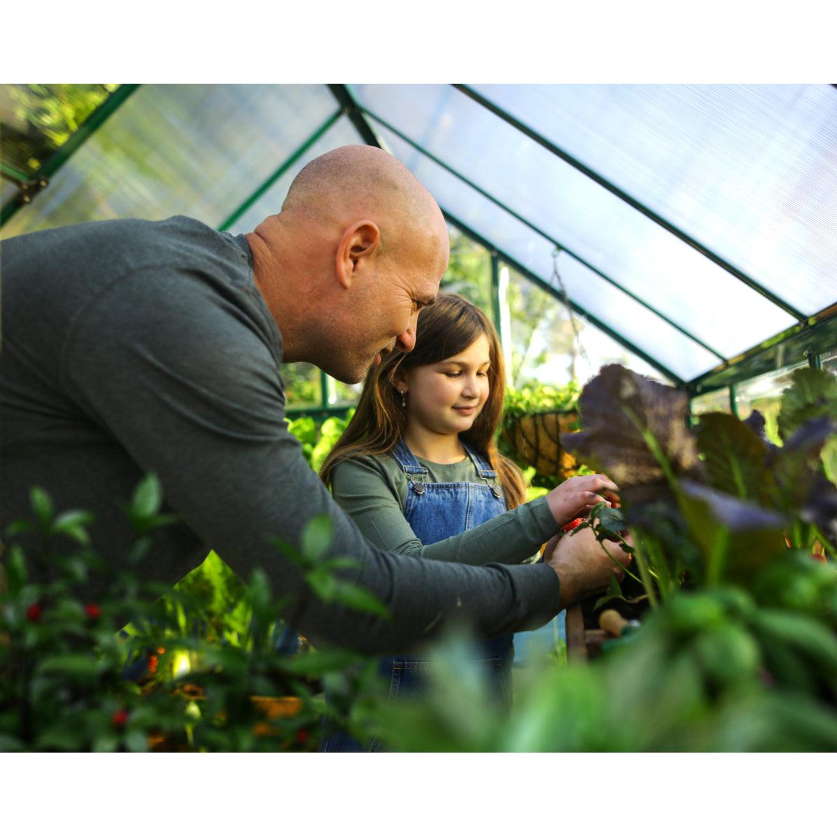 Hybrid Polycarbonate Greenhouse 6 x 8 ft. Green Frame | Palram-Canopia-Delightful Yard