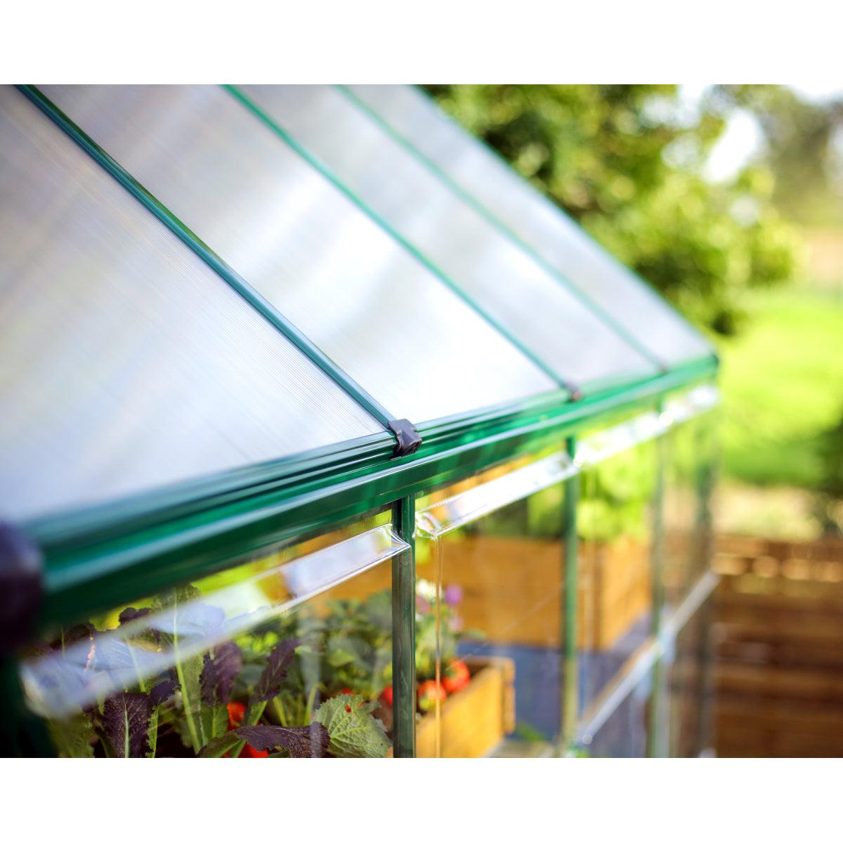 Hybrid Polycarbonate Greenhouse 6 x 8 ft. Green Frame | Palram-Canopia-Delightful Yard