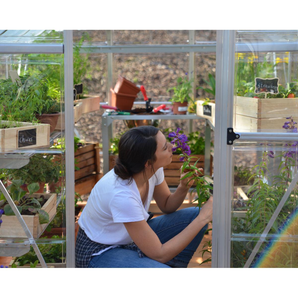 Hybrid Polycarbonate Greenhouse 6 x 8 ft. Silver Frame | Palram-Canopia-Delightful Yard