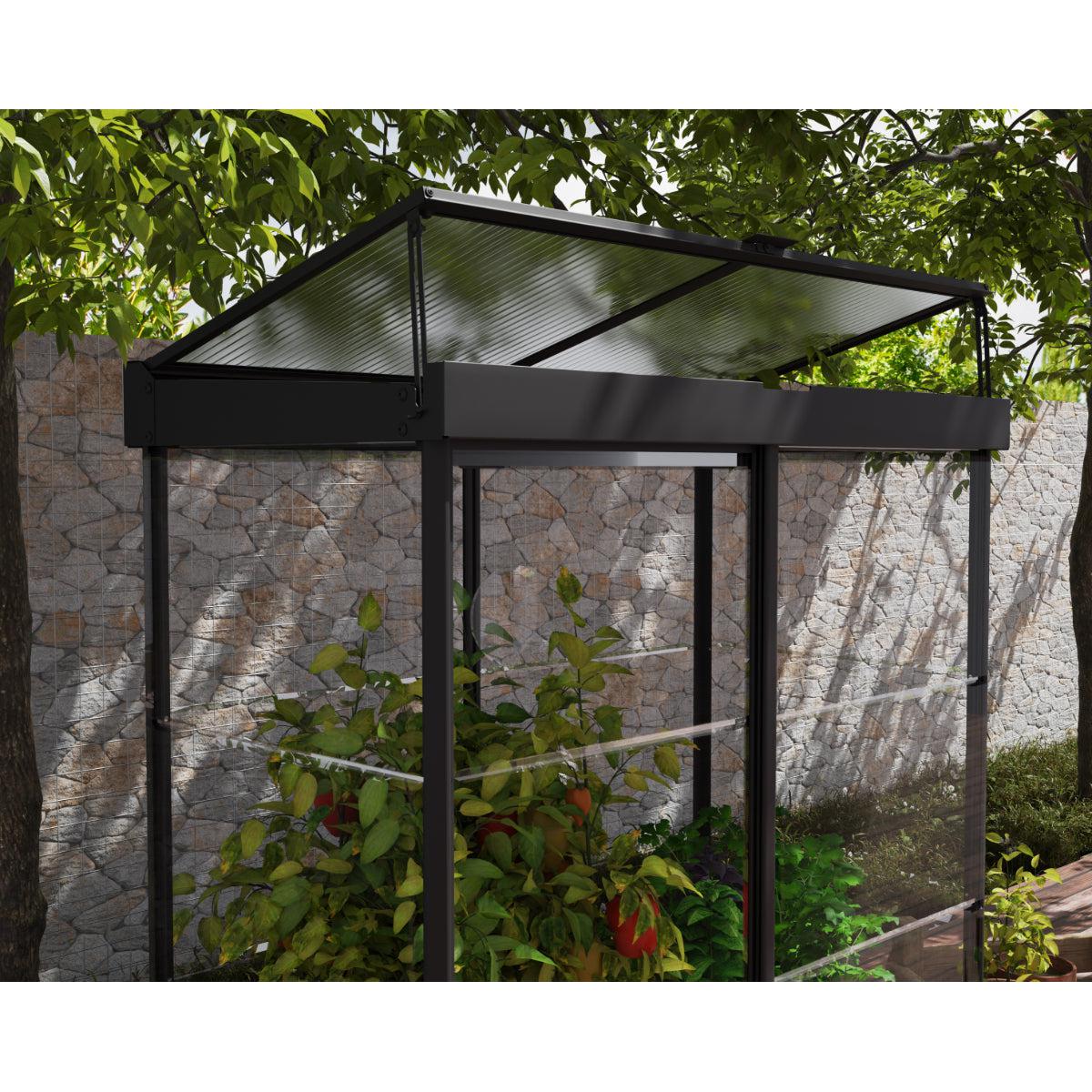 Ivy Polycarbonate Mini Greenhouse 4 x 2 ft. | Palram-Canopia-Delightful Yard