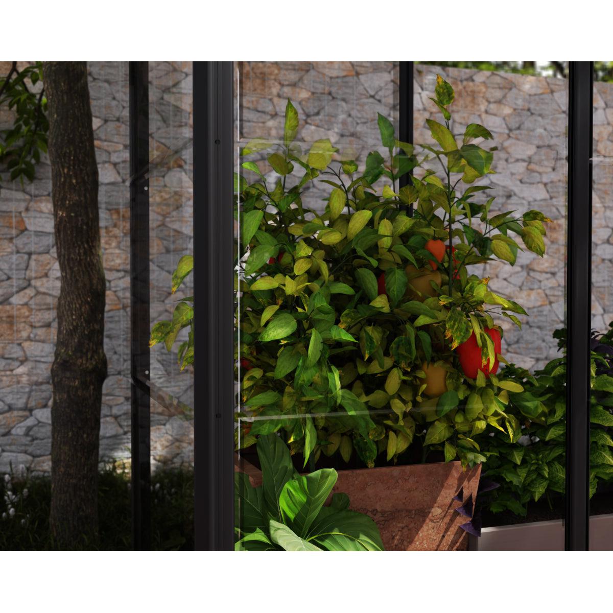 Ivy Polycarbonate Mini Greenhouse 4 x 2 ft. | Palram-Canopia-Delightful Yard