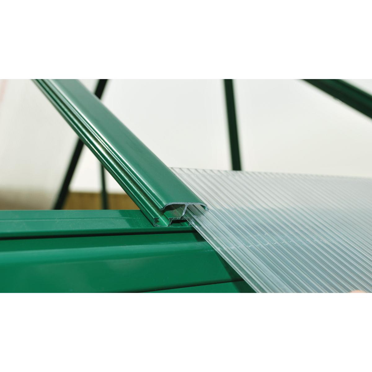 Mythos Polycarbonate Greenhouse 6 x 8 ft. Green Frame | Palram-Canopia-Delightful Yard