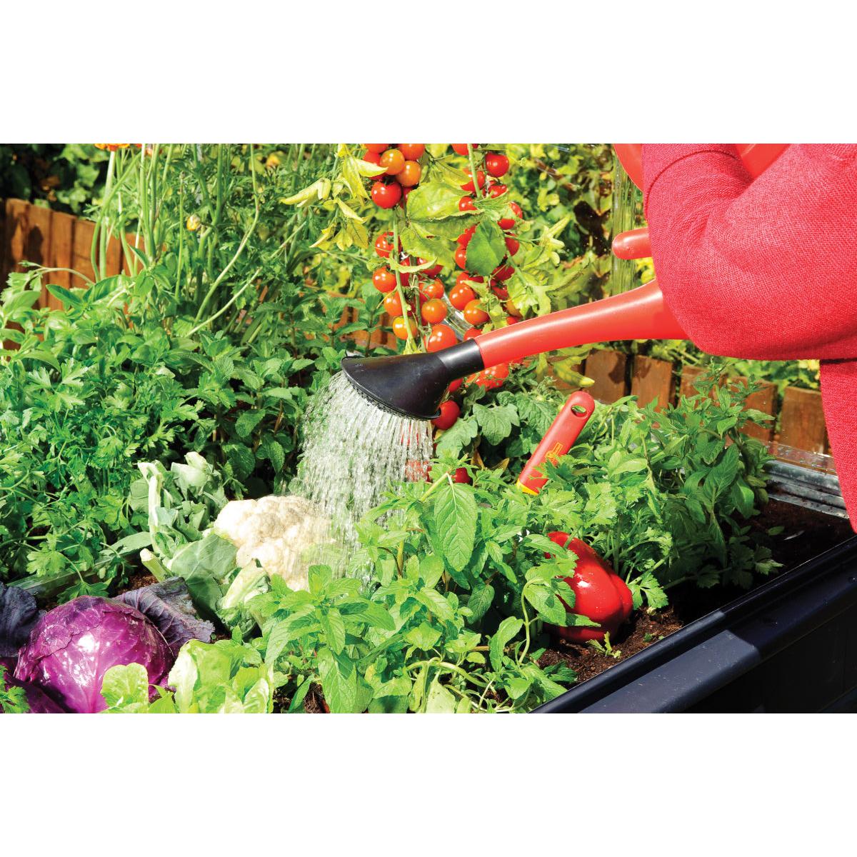 Plant Inn Polycarbonate Mini Greenhouse 4 x 4 ft. | Palram-Canopia-Delightful Yard