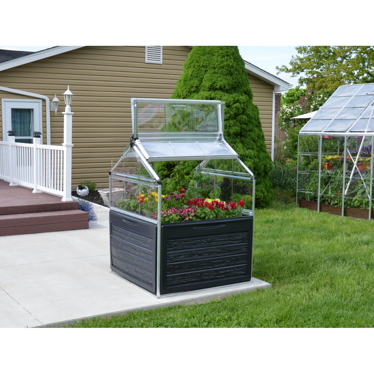 Plant Inn Polycarbonate Mini Greenhouse 4 x 4 ft. | Palram-Canopia-Delightful Yard