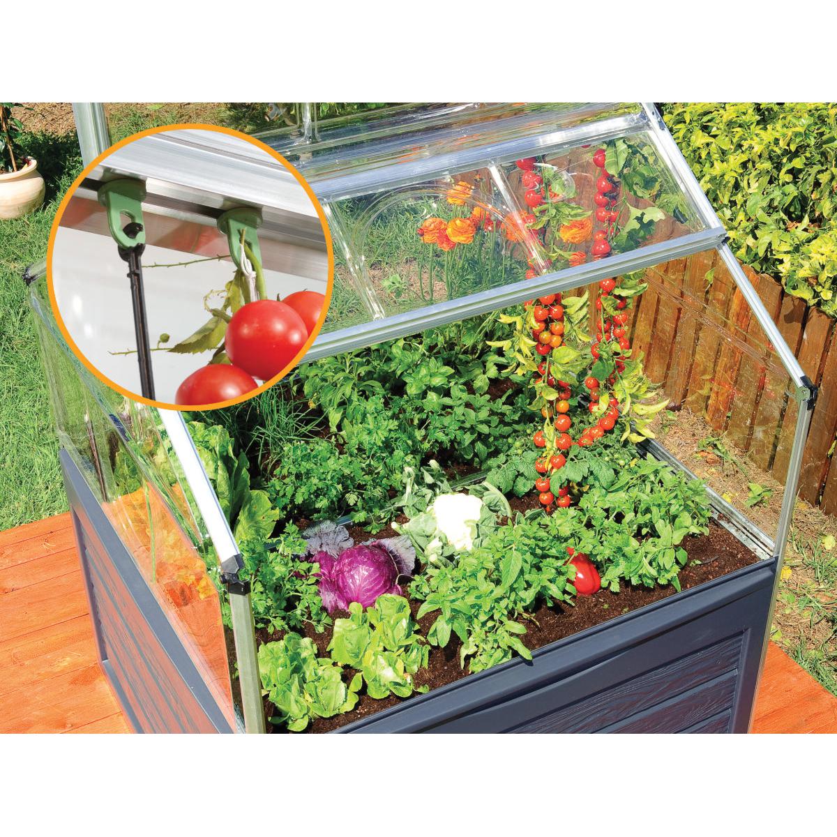Plant Inn Polycarbonate Mini Greenhouse 4 x 4 ft. | Palram-Canopia-Delightful Yard