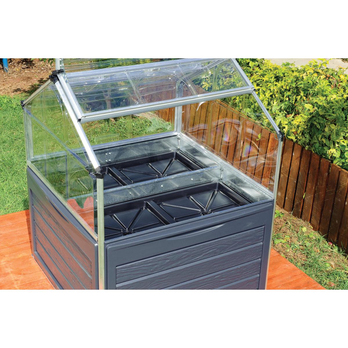Plant Inn Polycarbonate Mini Greenhouse 4 x 4 ft. | Palram-Canopia-Delightful Yard