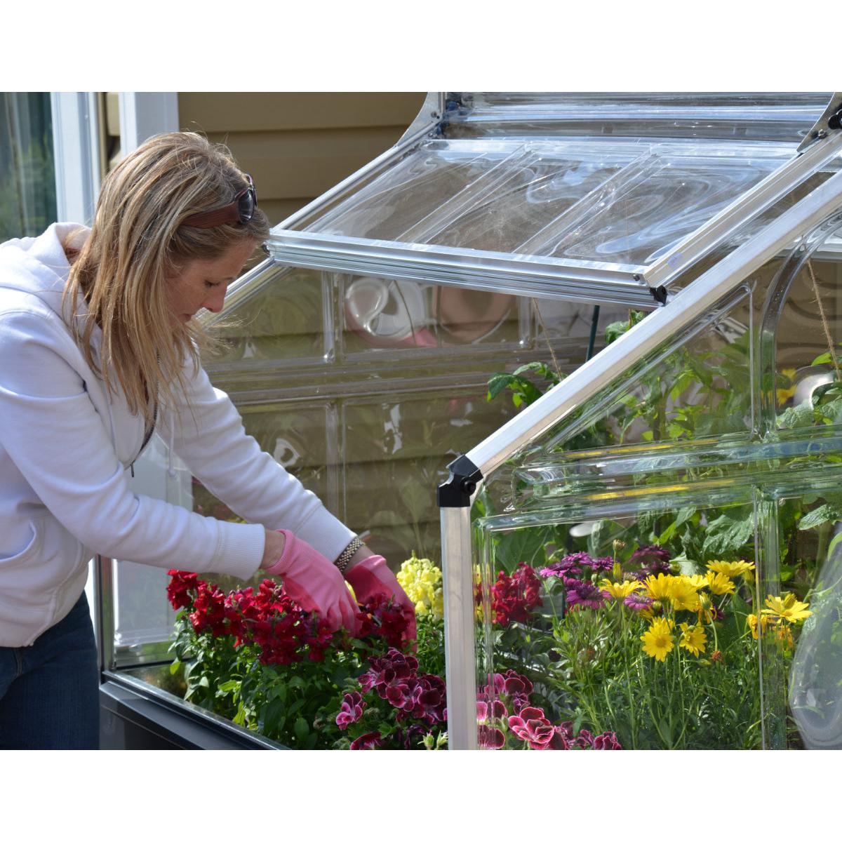 Plant Inn Polycarbonate Mini Greenhouse 4 x 4 ft. | Palram-Canopia-Delightful Yard