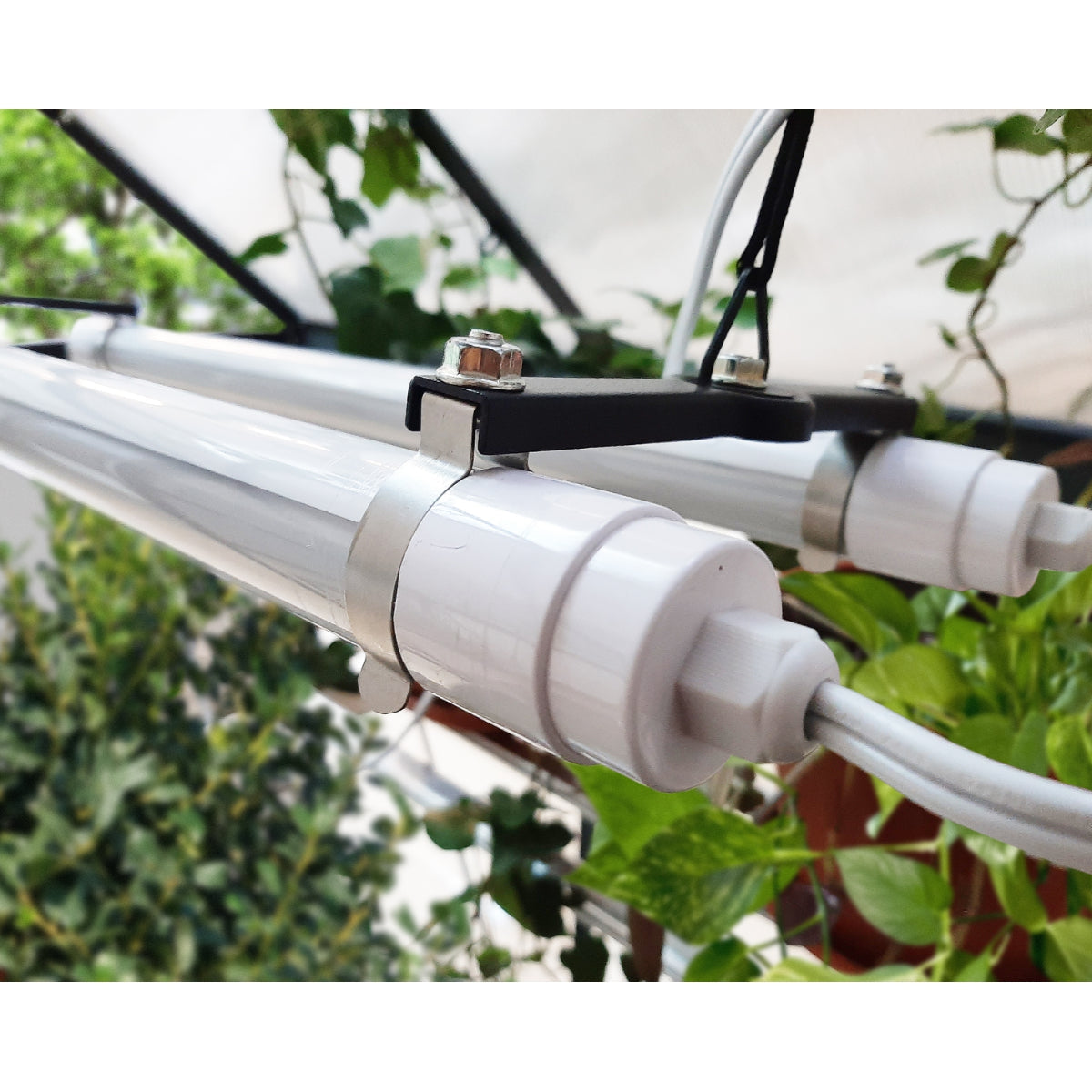 Full Spectrum LED Grow Light | Palram-Canopia-Delightful Yard