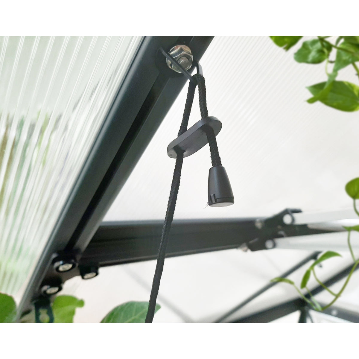 Full Spectrum LED Grow Light | Palram-Canopia-Delightful Yard