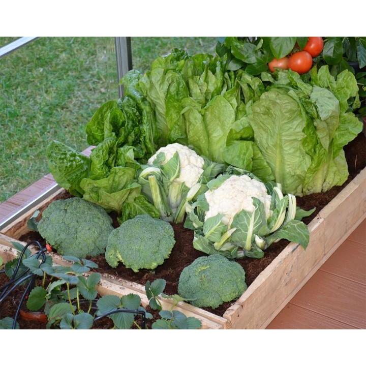 Greenhouse Drip Irrigation Kit | Palram-Canopia - Delightful Yard