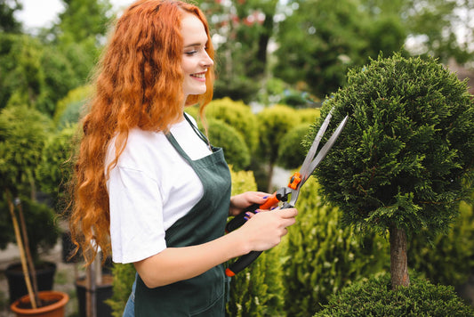 The Art of Pruning: A Guide to Different Techniques for a Healthy Garden