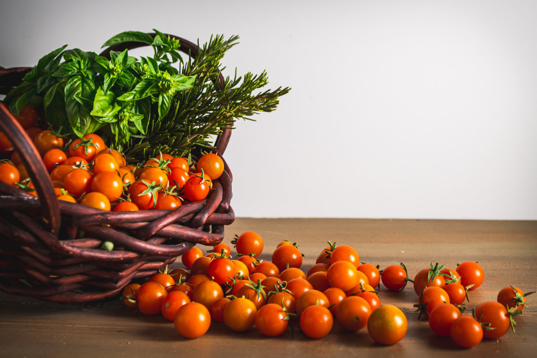 Companion Growing: Tips and Examples of Plants That Thrive Together