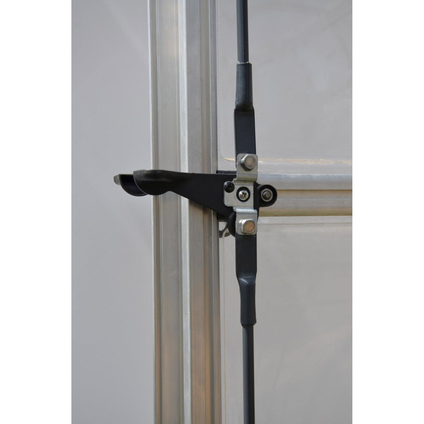 Americana Polycarbonate Greenhouse 12 x 12 ft. | Palram-Canopia-Delightful Yard