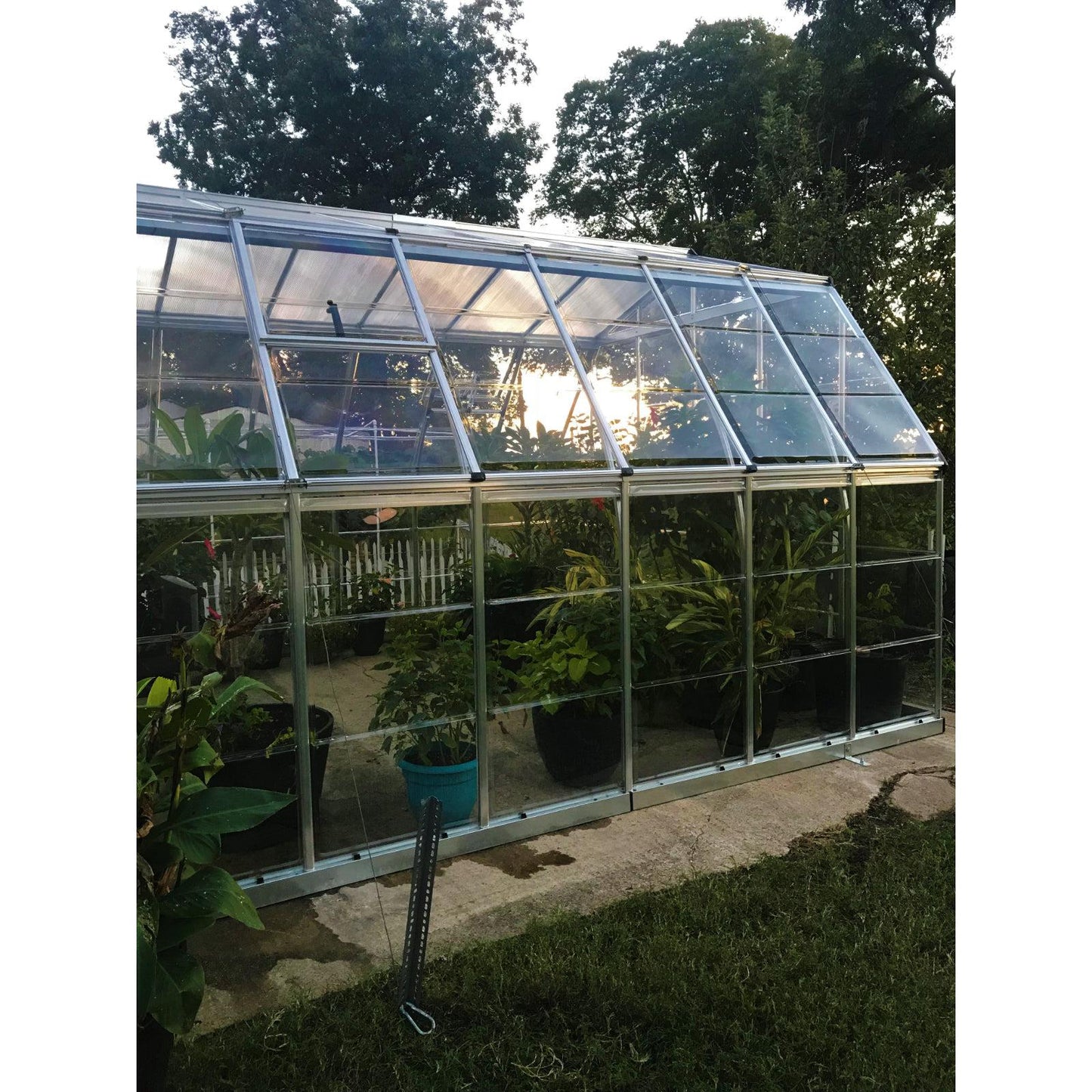 Americana Polycarbonate Greenhouse 12 x 12 ft. | Palram-Canopia-Delightful Yard