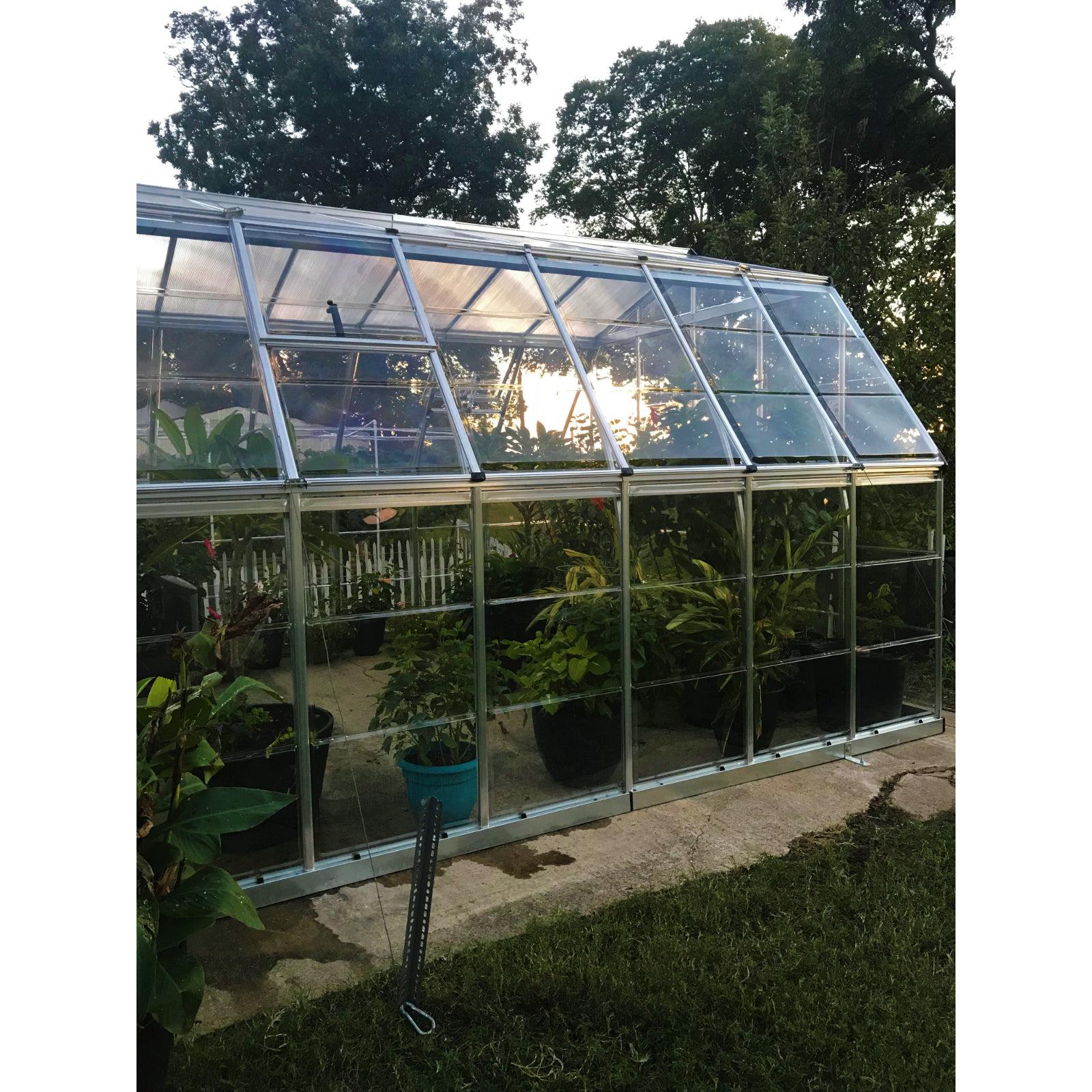 Americana Polycarbonate Greenhouse 12 x 12 ft. | Palram-Canopia-Delightful Yard