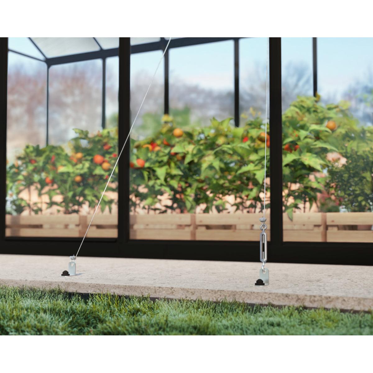 Aria Premium Polycarbonate Greenhouse 10 x 20 ft. Black | Palram-Canopia-Delightful Yard