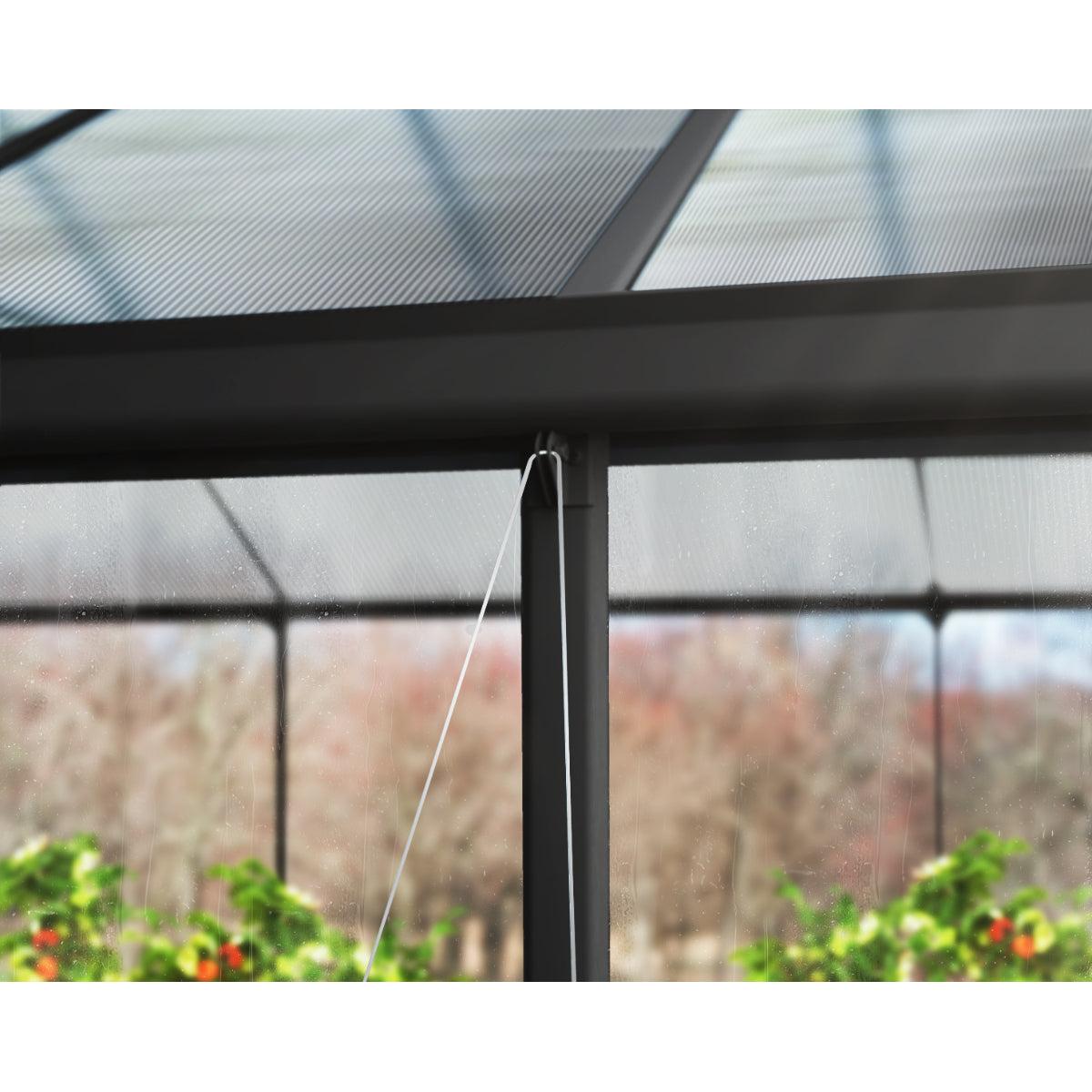 Aria Premium Polycarbonate Greenhouse 10 x 20 ft. Black | Palram-Canopia-Delightful Yard