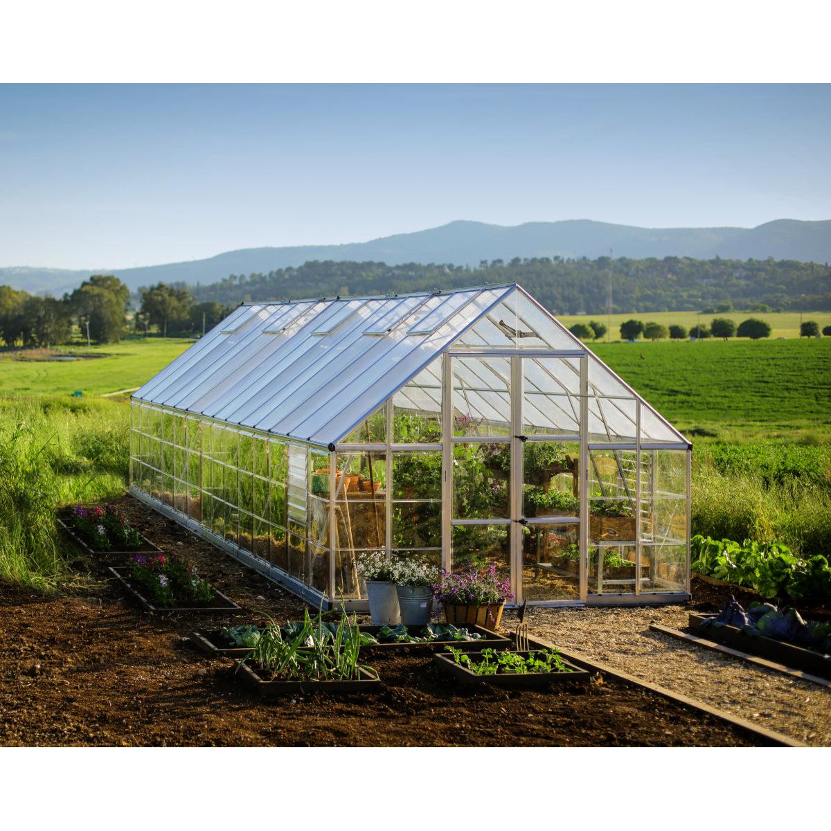 Balance Polycarbonate Greenhouse 10 x 28 ft. | Palram-Canopia-Delightful Yard