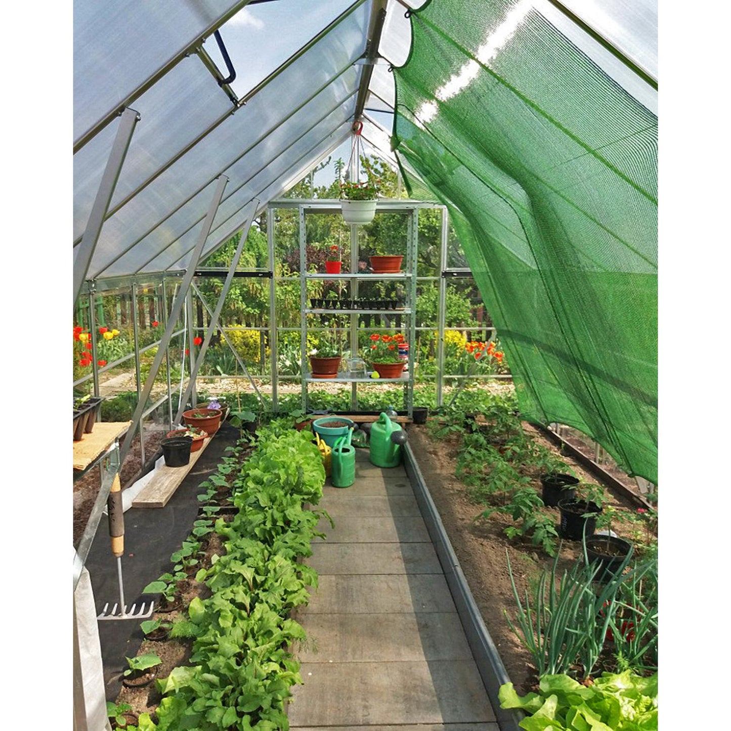 Balance Polycarbonate Greenhouse 8 x 12 ft. | Palram-Canopia-Delightful Yard