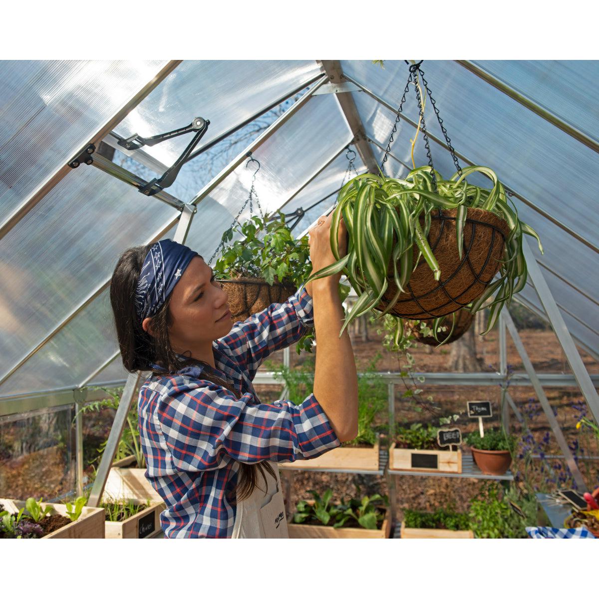 Balance Polycarbonate Greenhouse 8 x 20 ft. | Palram-Canopia-Delightful Yard