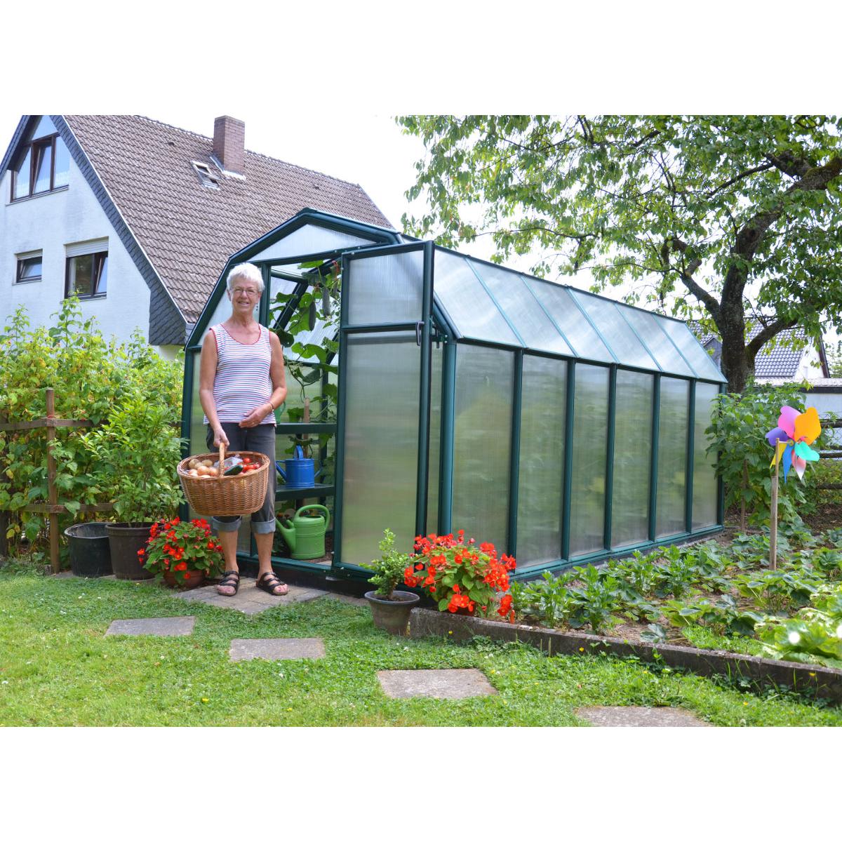 Eco Grow Polycarbonate Greenhouse 6 x 12 ft. | Rion by Palram-Canopia-Delightful Yard