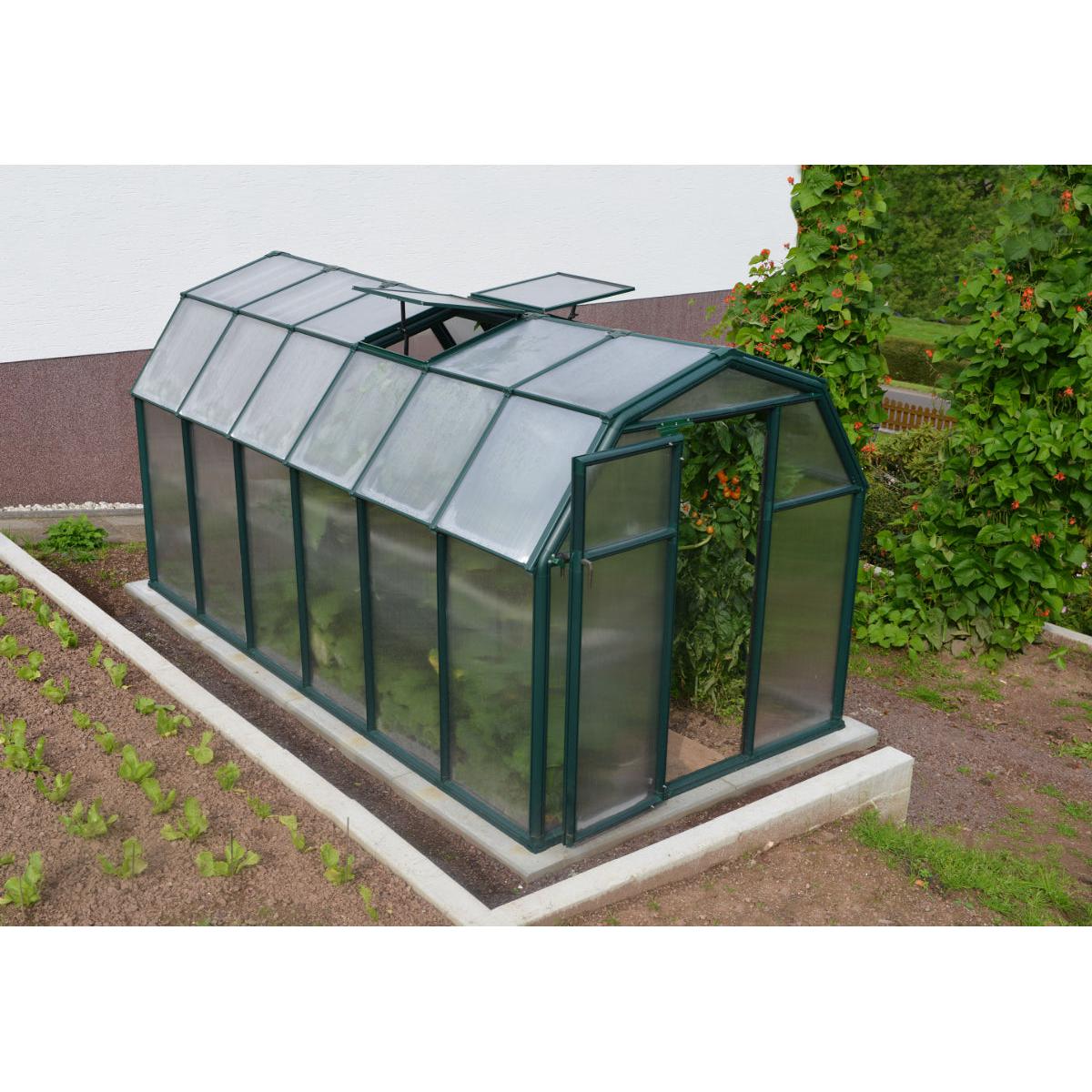 Eco Grow Polycarbonate Greenhouse 6 x 12 ft. | Rion by Palram-Canopia-Delightful Yard