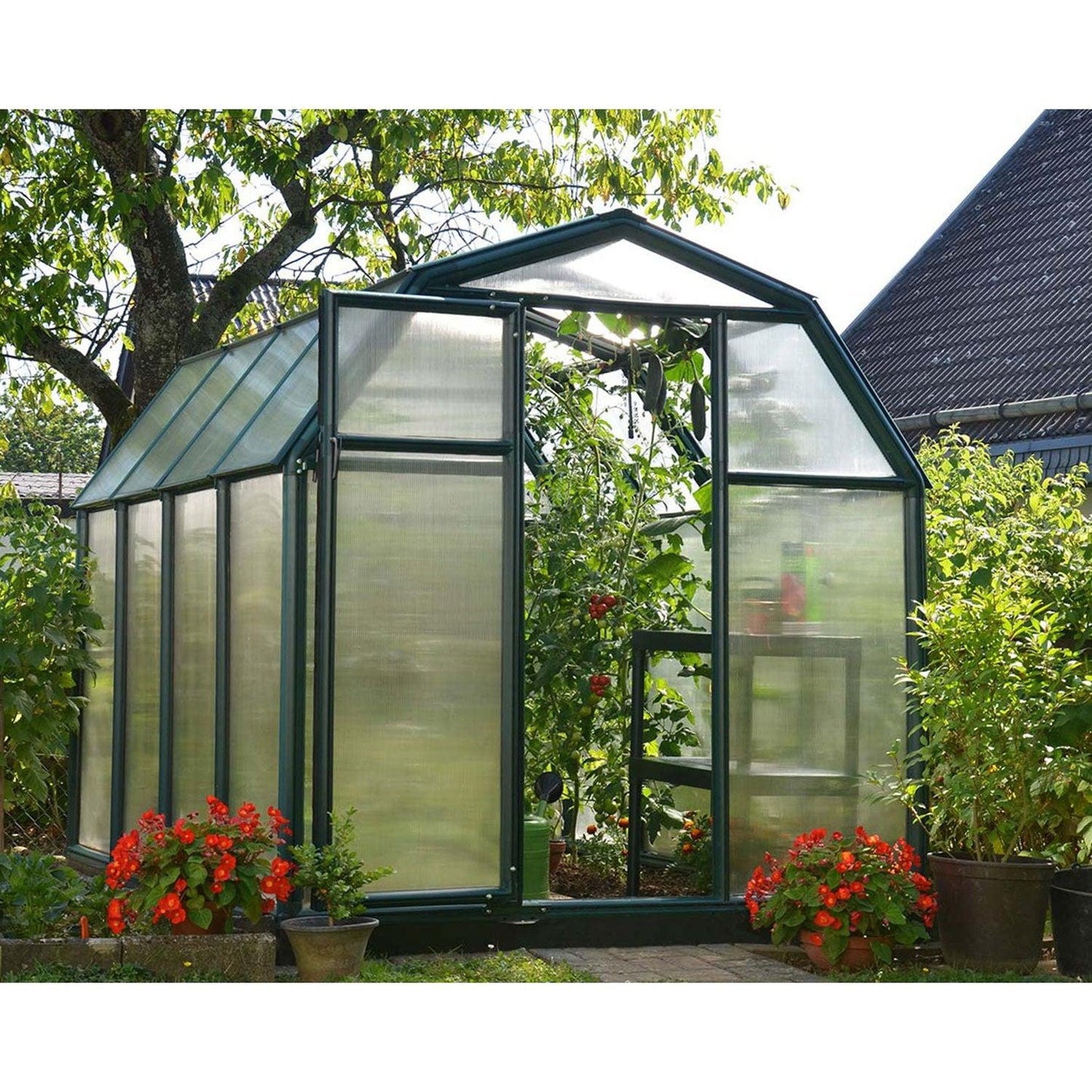 Rion EcoGrow Greenhouse 6 x 8 ft. - Delightful Yard