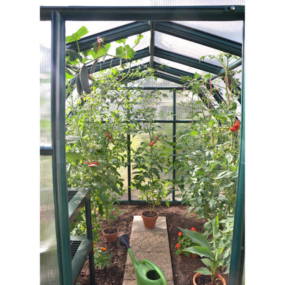 Eco Grow Polycarbonate Greenhouse 6 x 12 ft. | Rion by Palram-Canopia-Delightful Yard