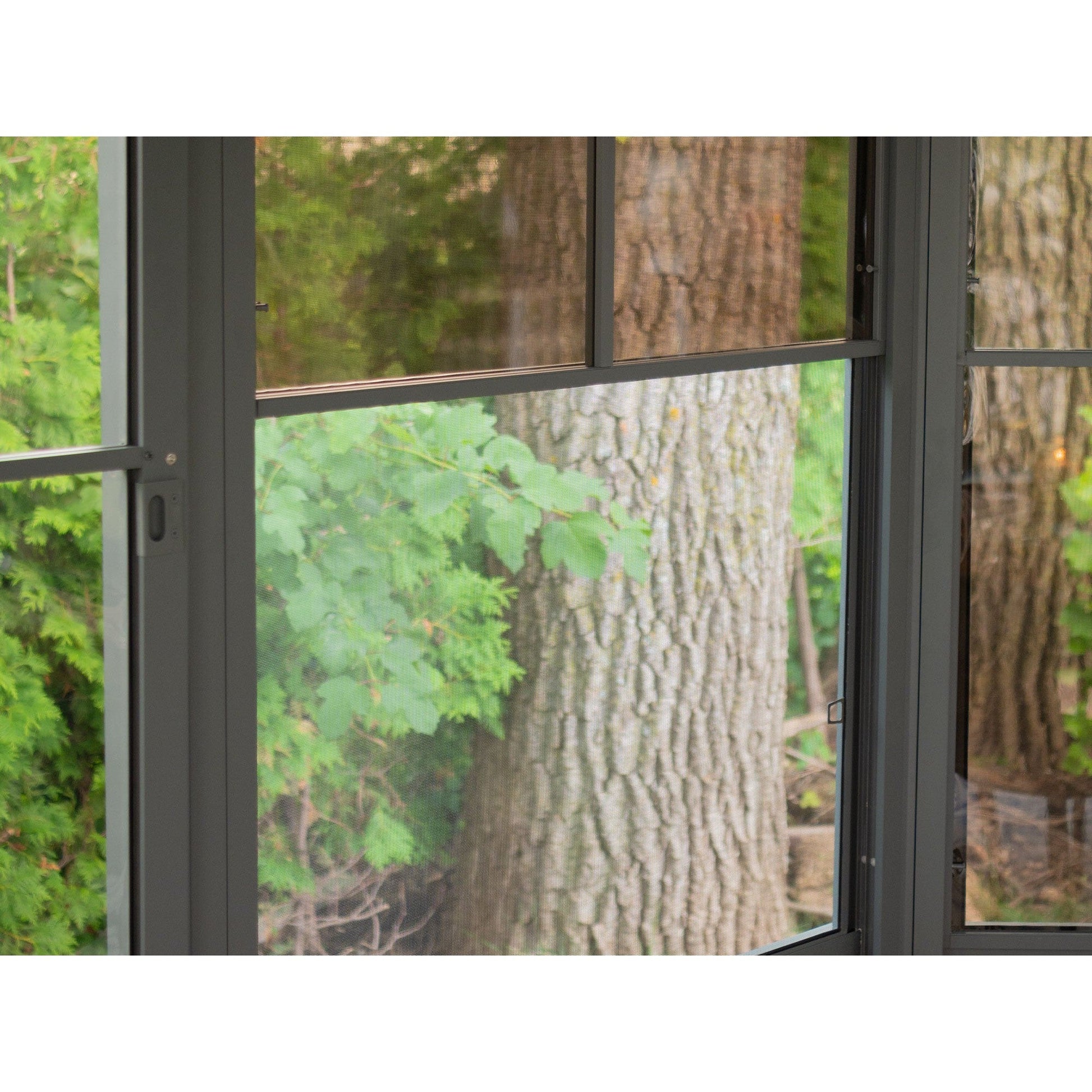 Florence Aluminum Wall Mounted Sunroom PC Roof 10 x 16 ft. | Gazebo PenGuin-Delightful Yard