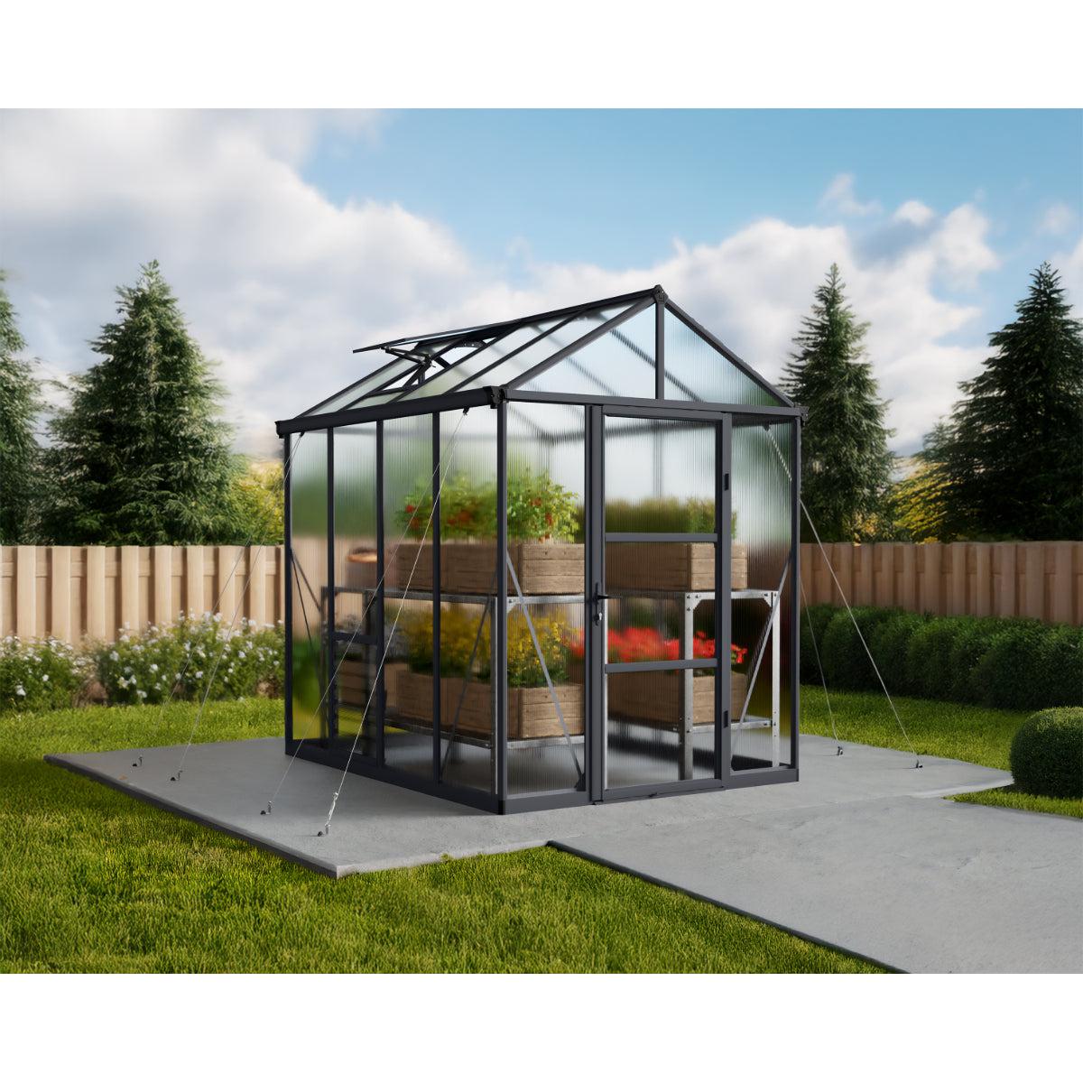 Glory Deluxe Polycarbonate Greenhouse 6 x 8 ft. | Palram-Canopia-Delightful Yard