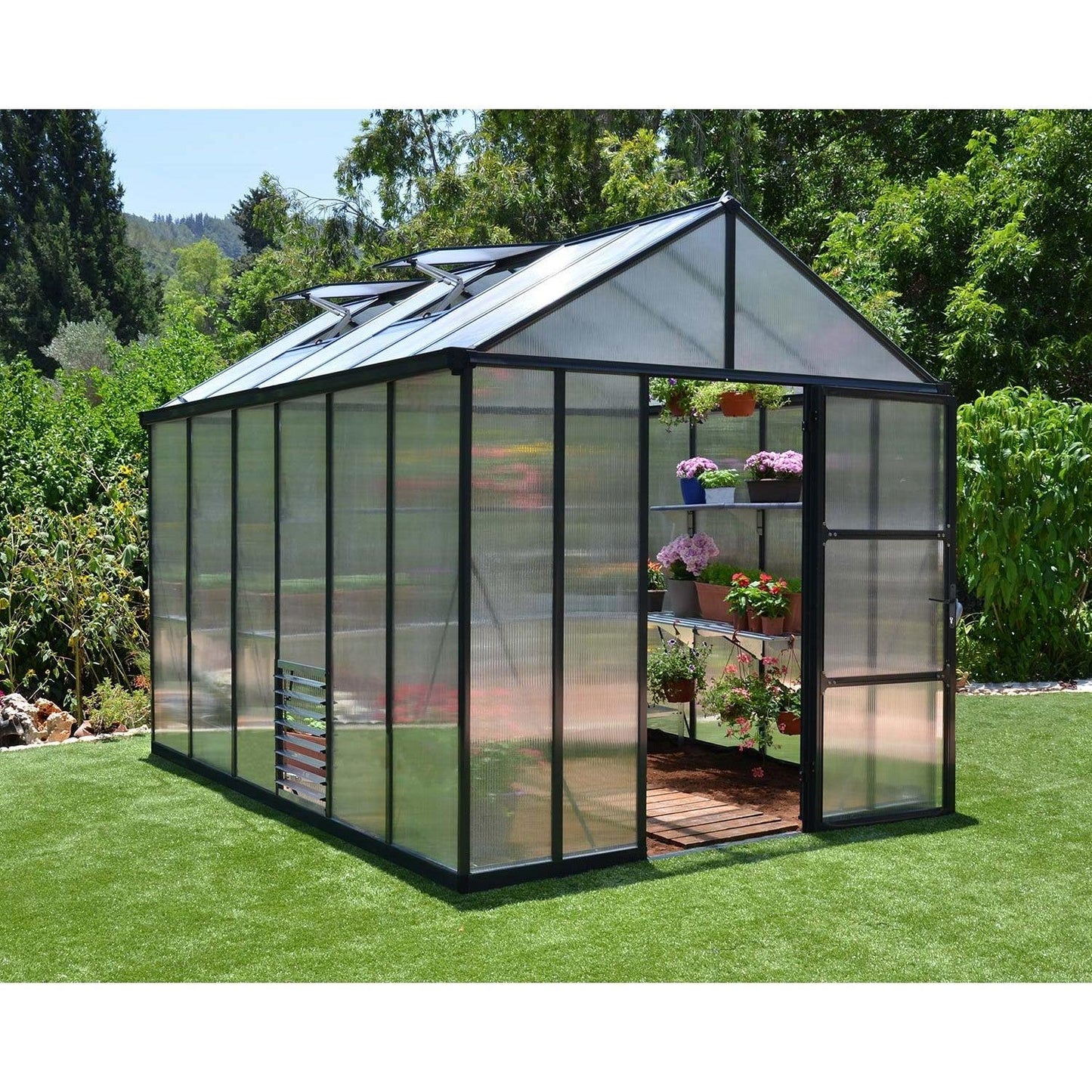 Glory Deluxe Greenhouse 8 x 12 ft. | Palram-Canopia - Delightful Yard