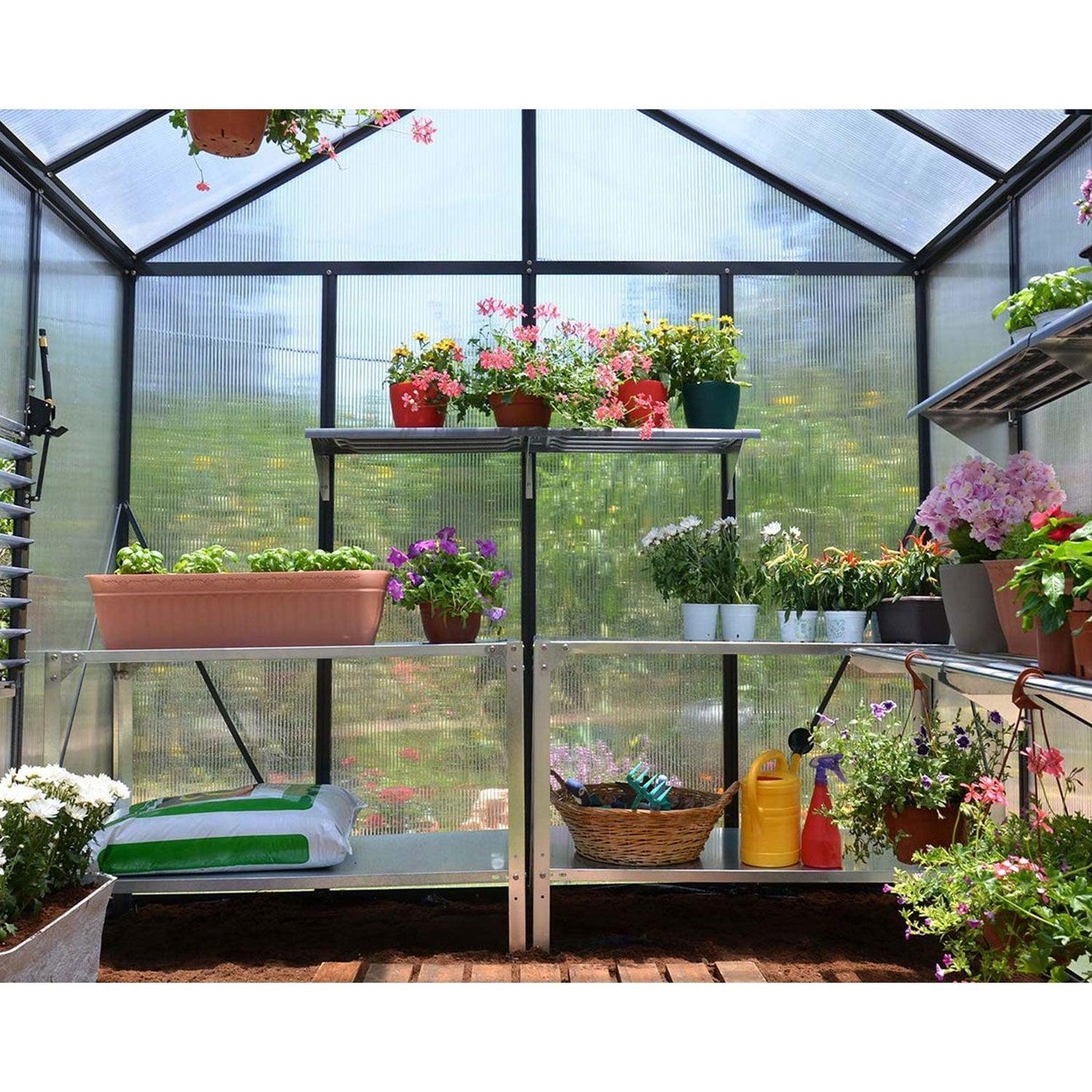 Glory Deluxe Greenhouse 8 x 12 ft. | Palram-Canopia - Delightful Yard