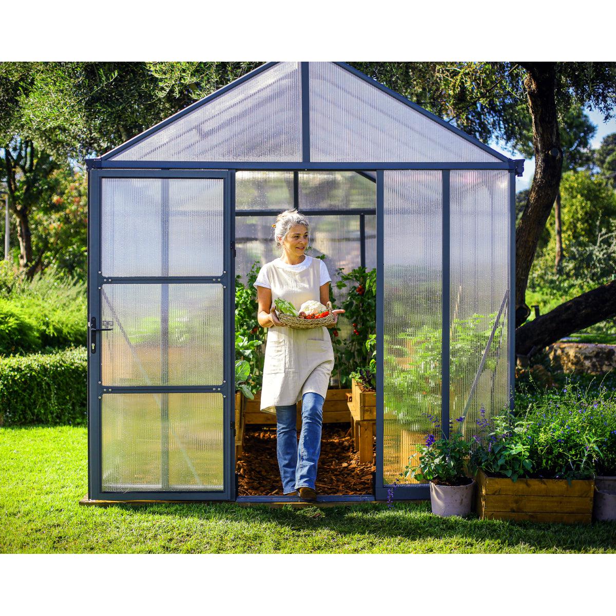 Glory Deluxe Polycarbonate Greenhouse 8 x 20 ft. | Palram-Canopia-Delightful Yard