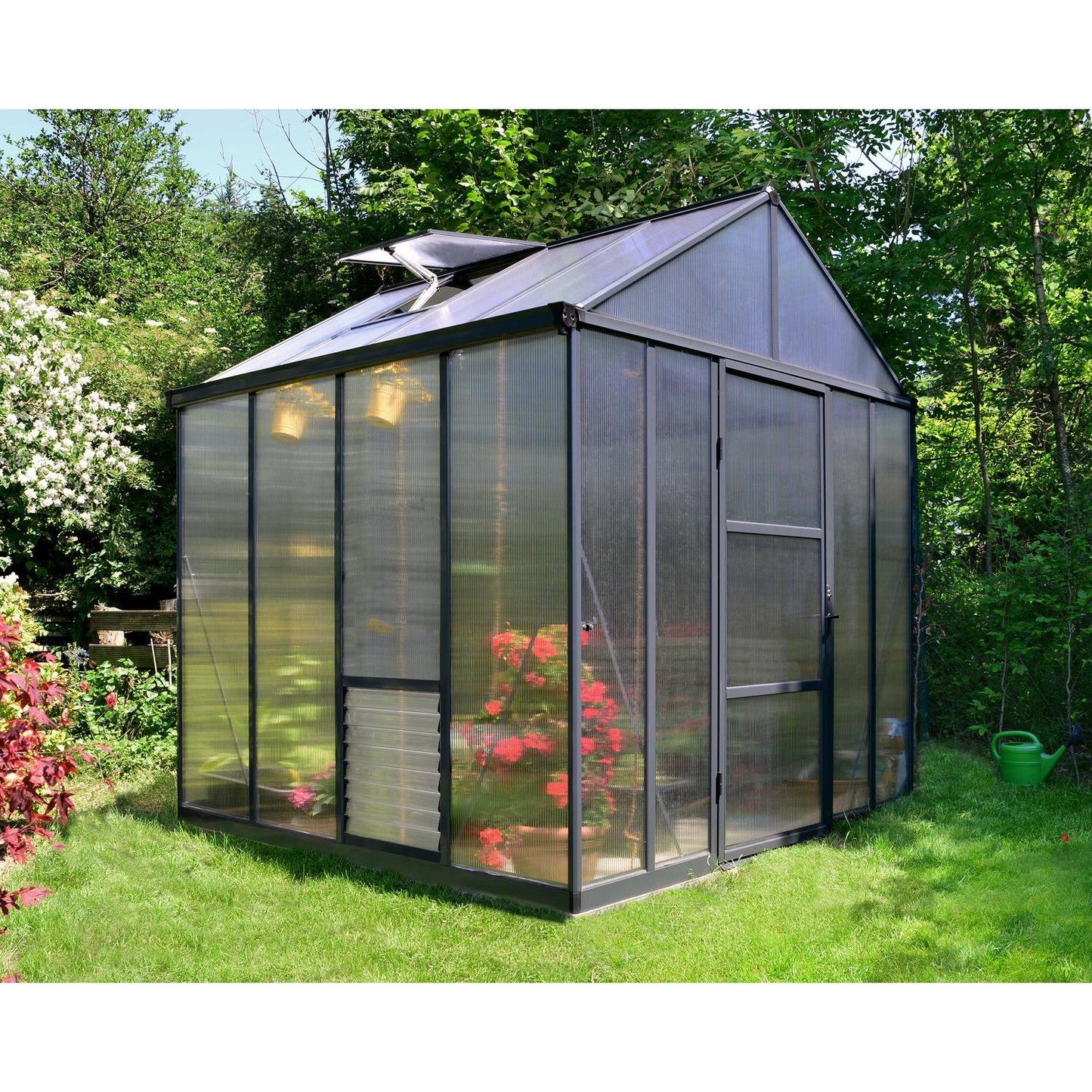 Glory Deluxe Polycarbonate Greenhouse 8 x 8 ft. | Palram-Canopia-Delightful Yard