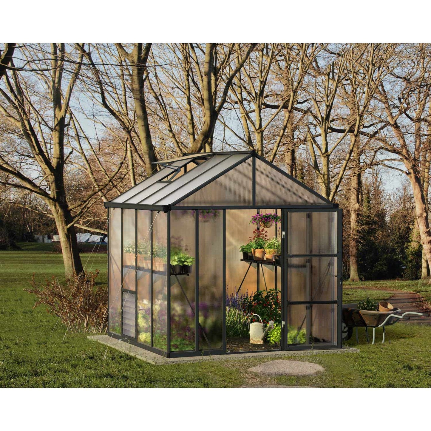 Glory Deluxe Polycarbonate Greenhouse 8 x 8 ft. | Palram-Canopia-Delightful Yard