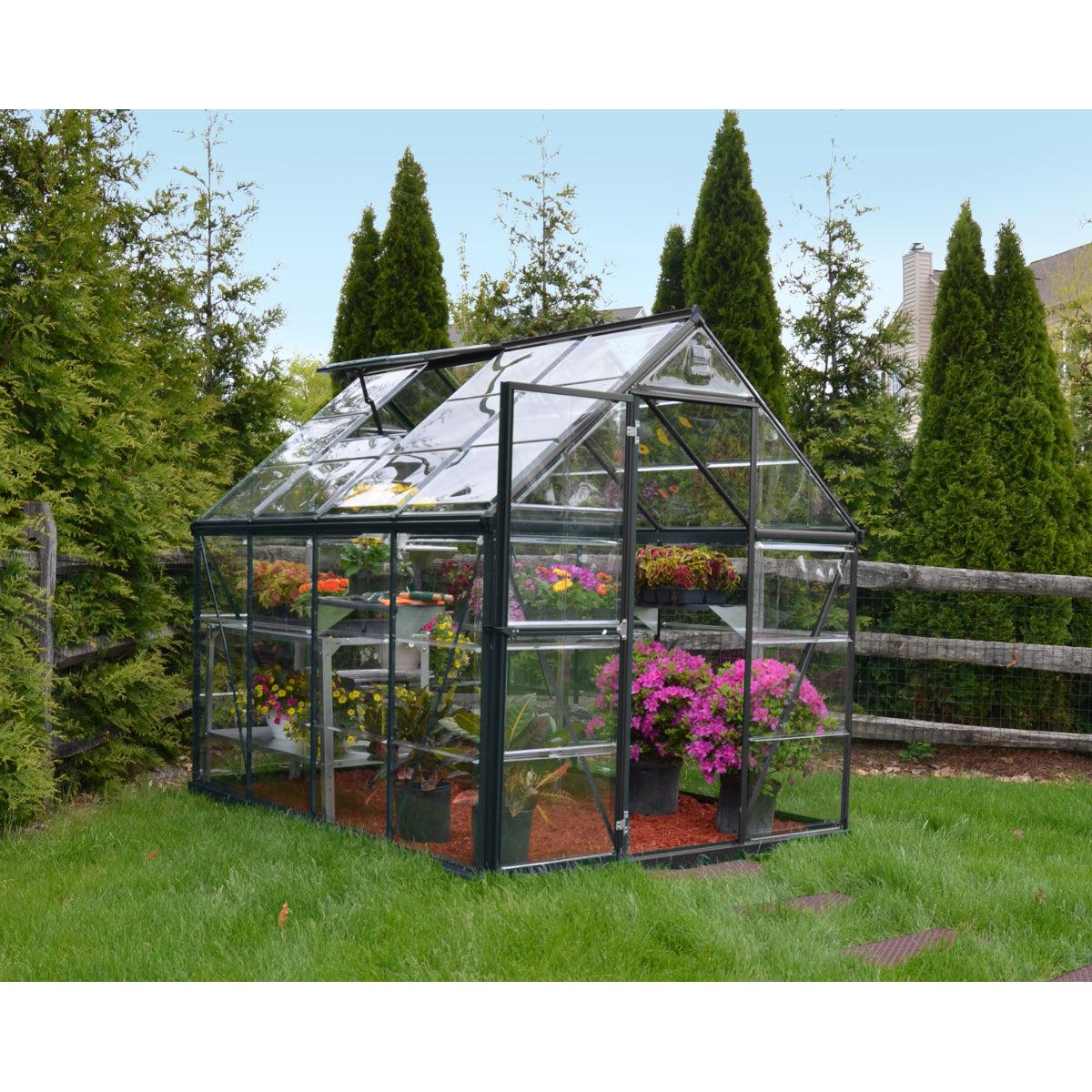 Harmony Polycarbonate Greenhouse 6 x 8 ft. Grey Frame | Palram-Canopia-Delightful Yard