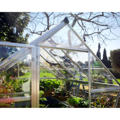 Harmony Polycarbonate Greenhouse 6 x 10 ft. | Palram-Canopia-Delightful Yard