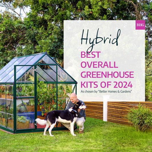 Hybrid Polycarbonate Greenhouse 6 x 10 ft. Grey Frame | Palram-Canopia-Delightful Yard