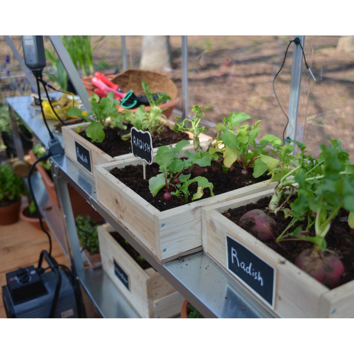 Hybrid Polycarbonate Greenhouse 6 x 10 ft. Silver Frame | Palram-Canopia-Delightful Yard