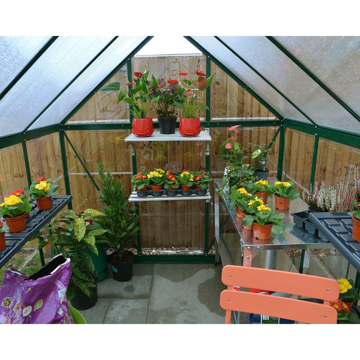 Hybrid Greenhouse 6 x 8 ft. Green Frame | Palram-Canopia - Delightful Yard