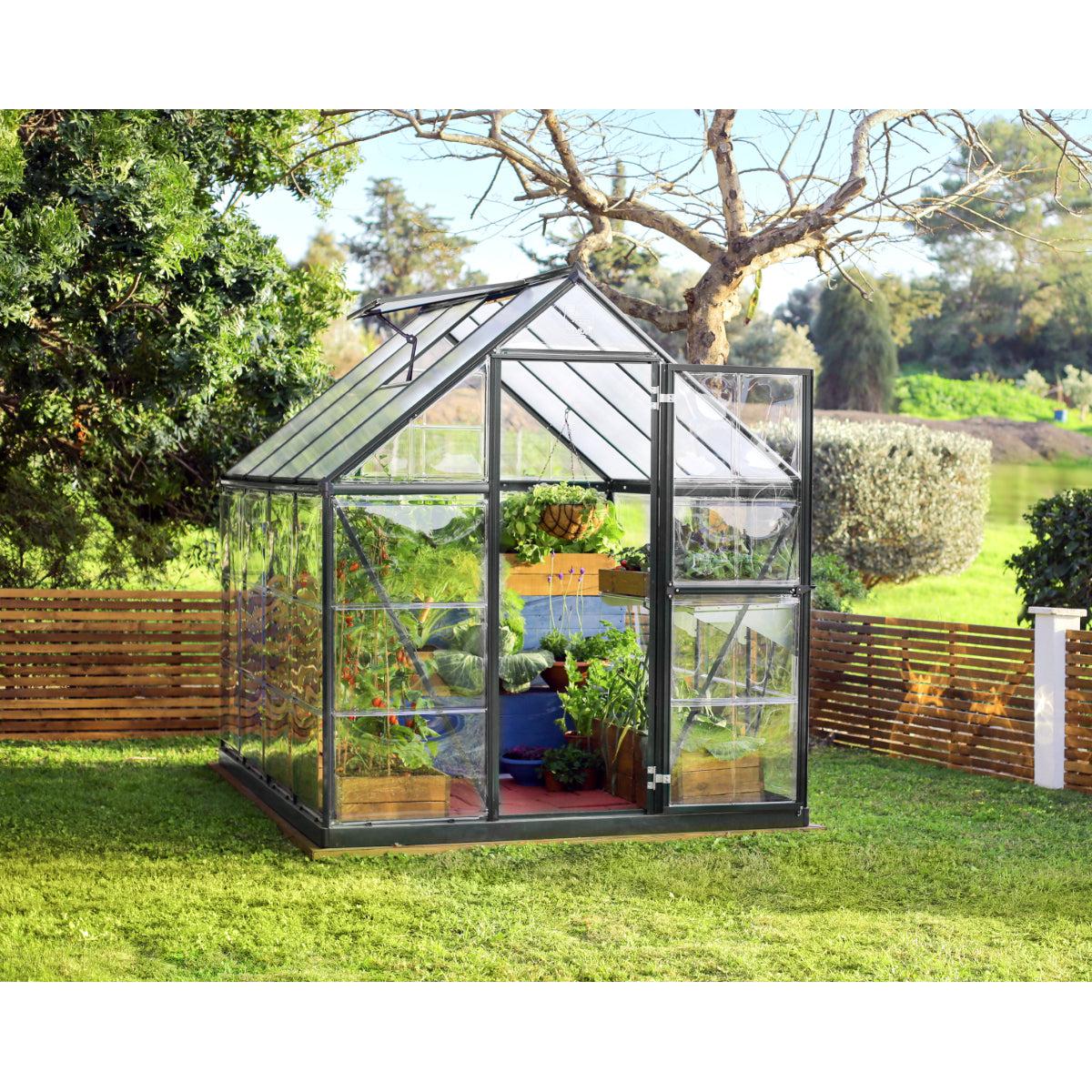 Hybrid Polycarbonate Greenhouse 6 x 8 ft. Grey Frame | Palram-Canopia-Delightful Yard