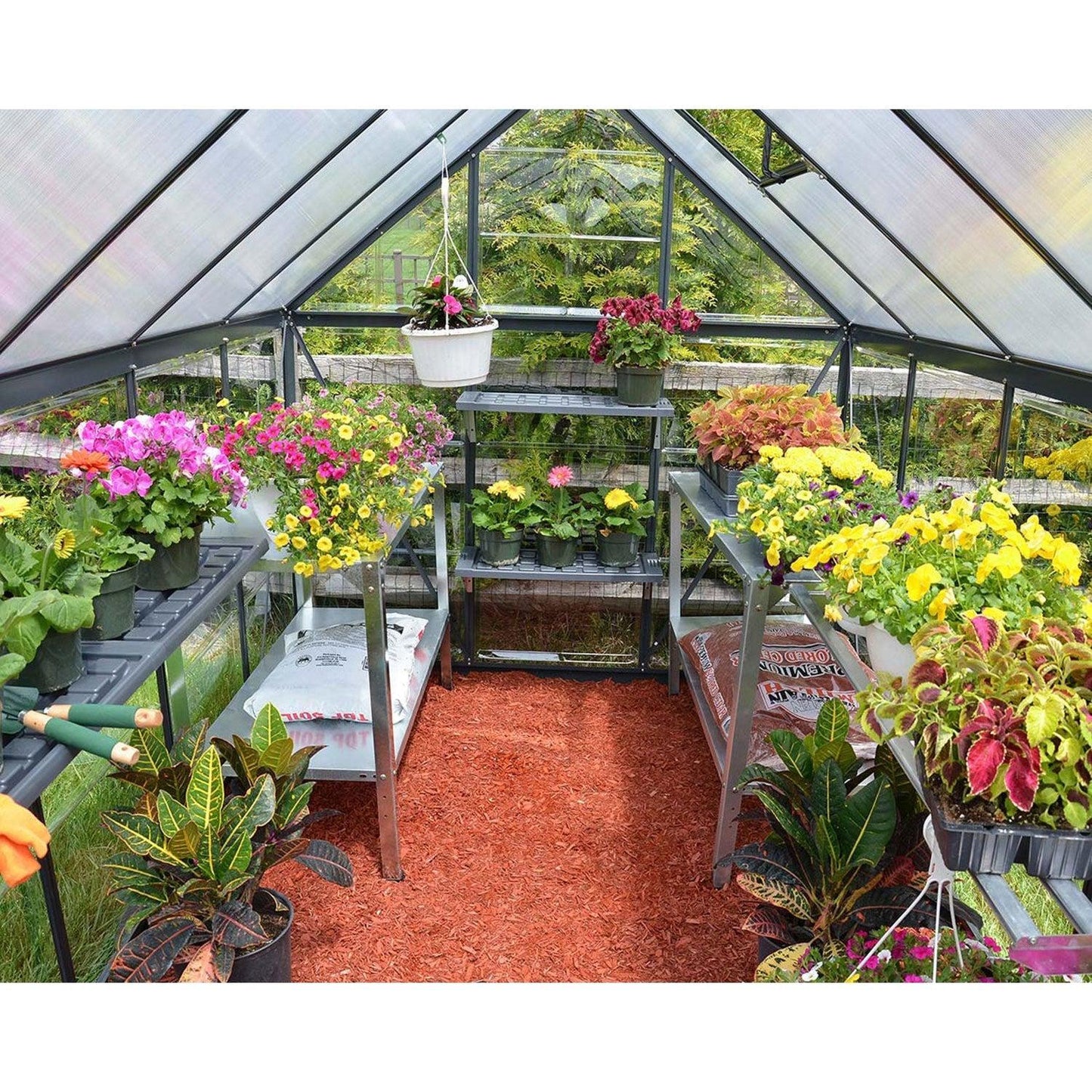 Hybrid Greenhouse 6 x 8 ft. Grey Frame | Palram-Canopia - Delightful Yard