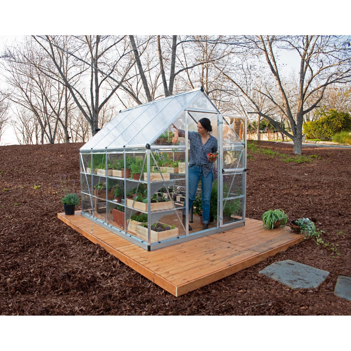 Hybrid Polycarbonate Greenhouse 6 x 8 ft. Silver Frame | Palram-Canopia-Delightful Yard