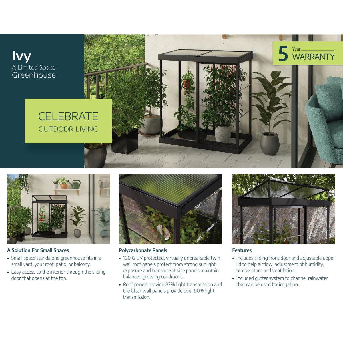 Ivy Polycarbonate Mini Greenhouse 4 x 2 ft. | Palram-Canopia-Delightful Yard