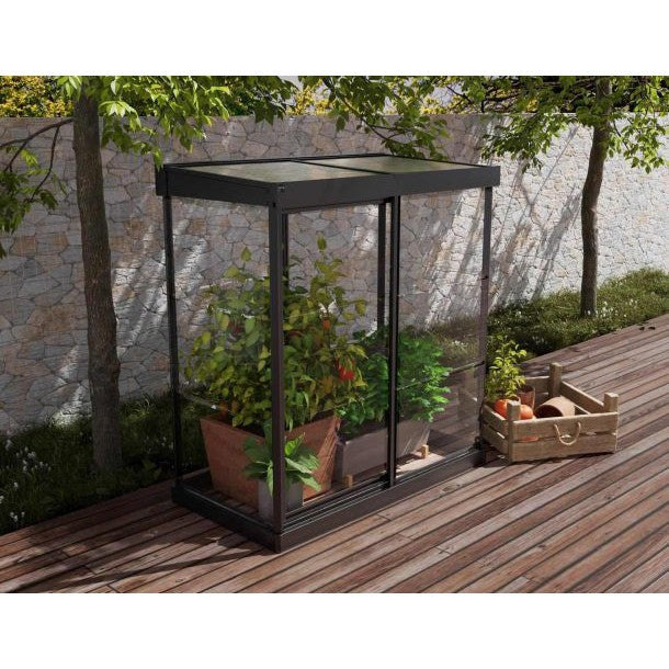 Ivy Polycarbonate Mini Greenhouse 4 x 2 ft. | Palram-Canopia-Delightful Yard