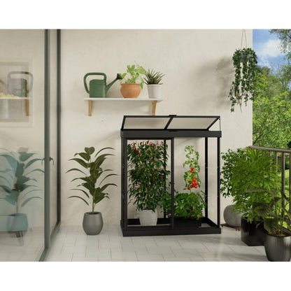Ivy Polycarbonate Mini Greenhouse 4 x 2 ft. | Palram-Canopia-Delightful Yard